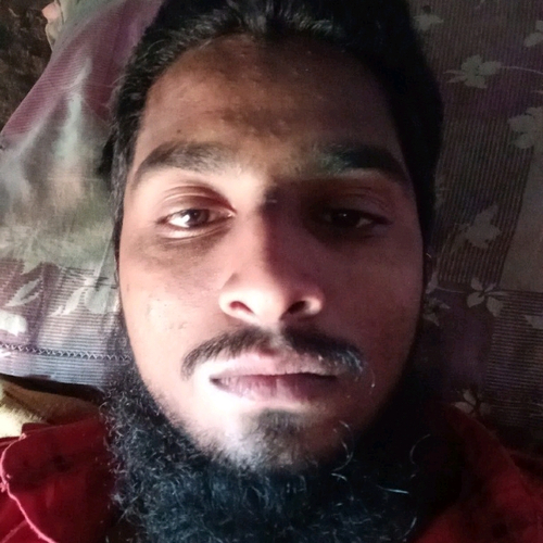 50827488 3523