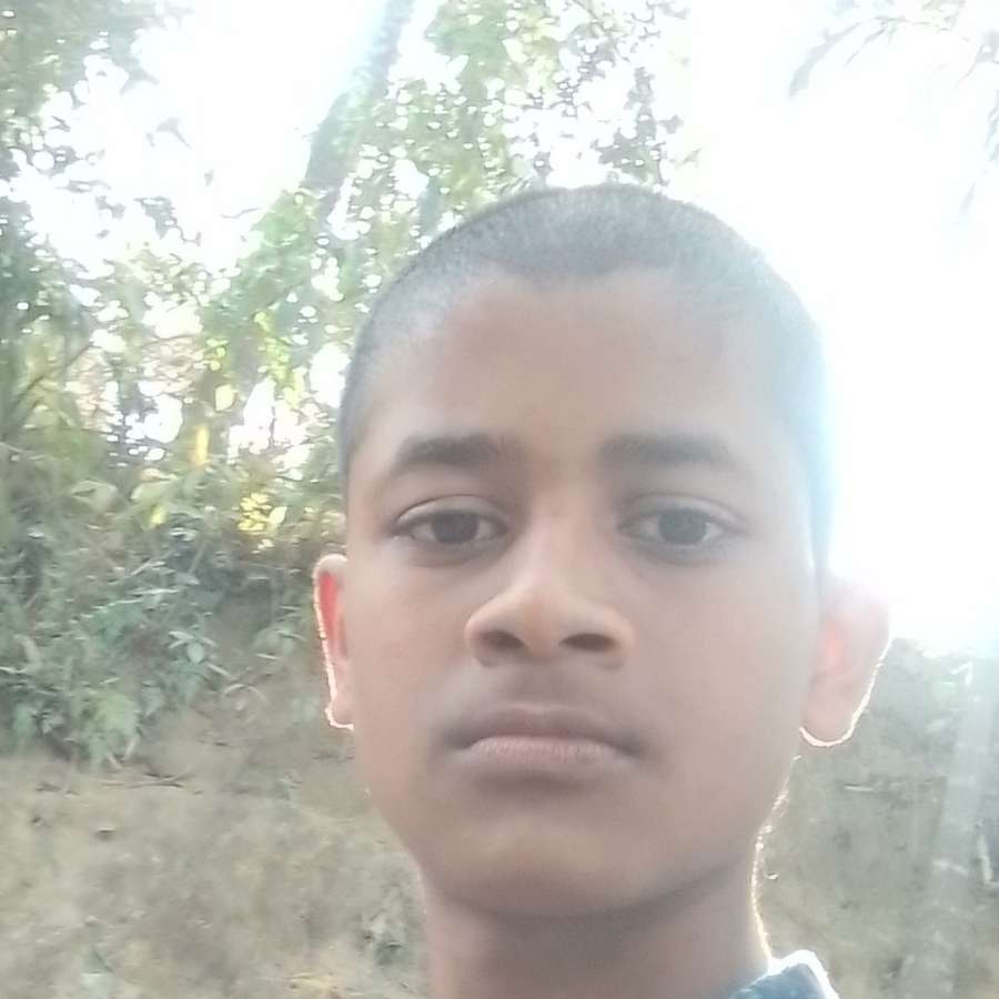 85880938 7939 medium large