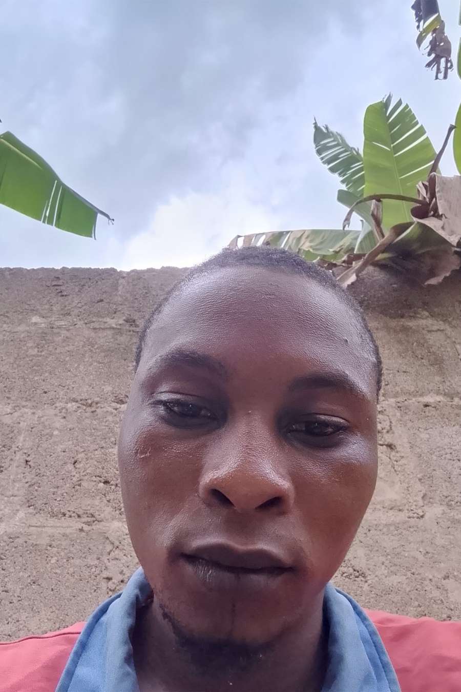 91790859 586 medium large