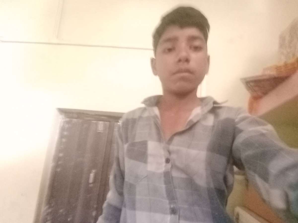 86418379 3559 medium large