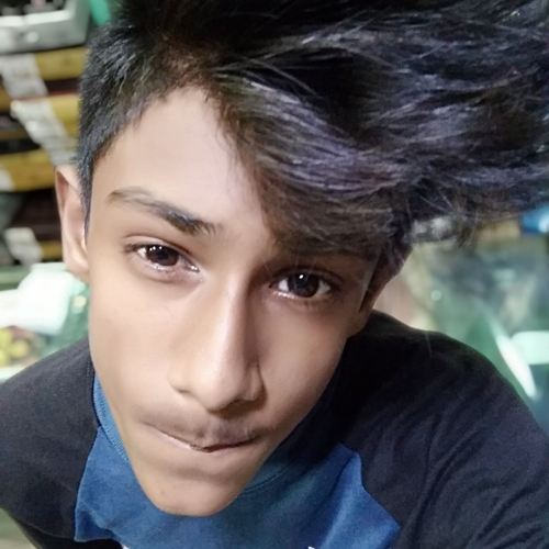 47294352 1658