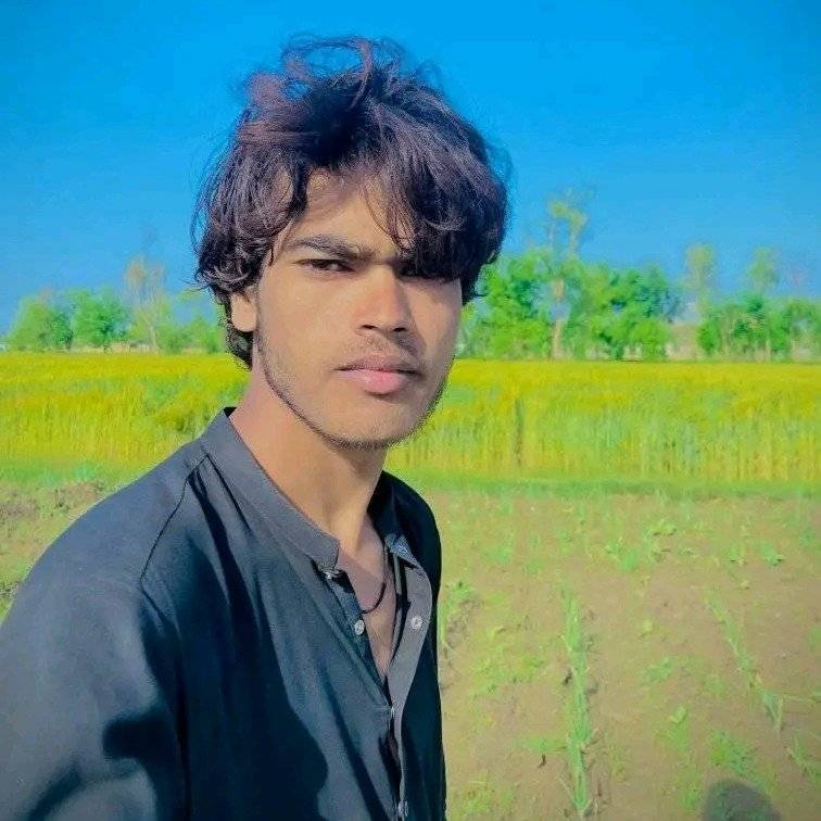 87956677 9313 medium large
