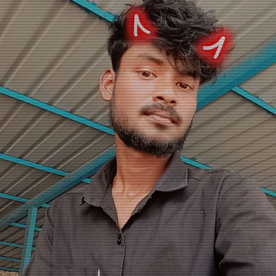 84032945 2432 medium large