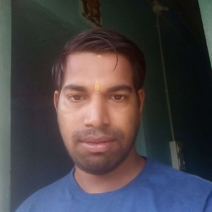 76703046 2353 medium large