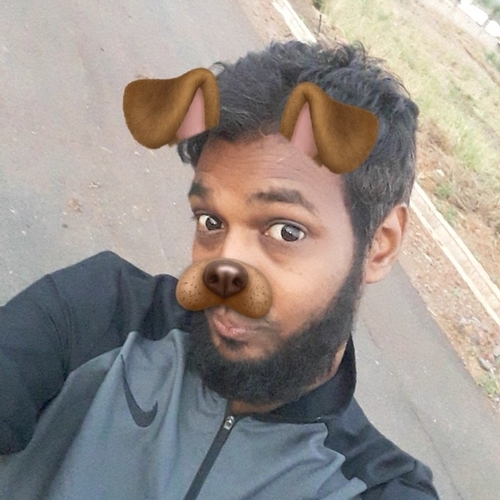 24568883 423