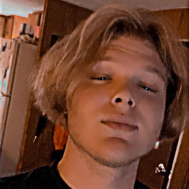 84084555 3608 medium large