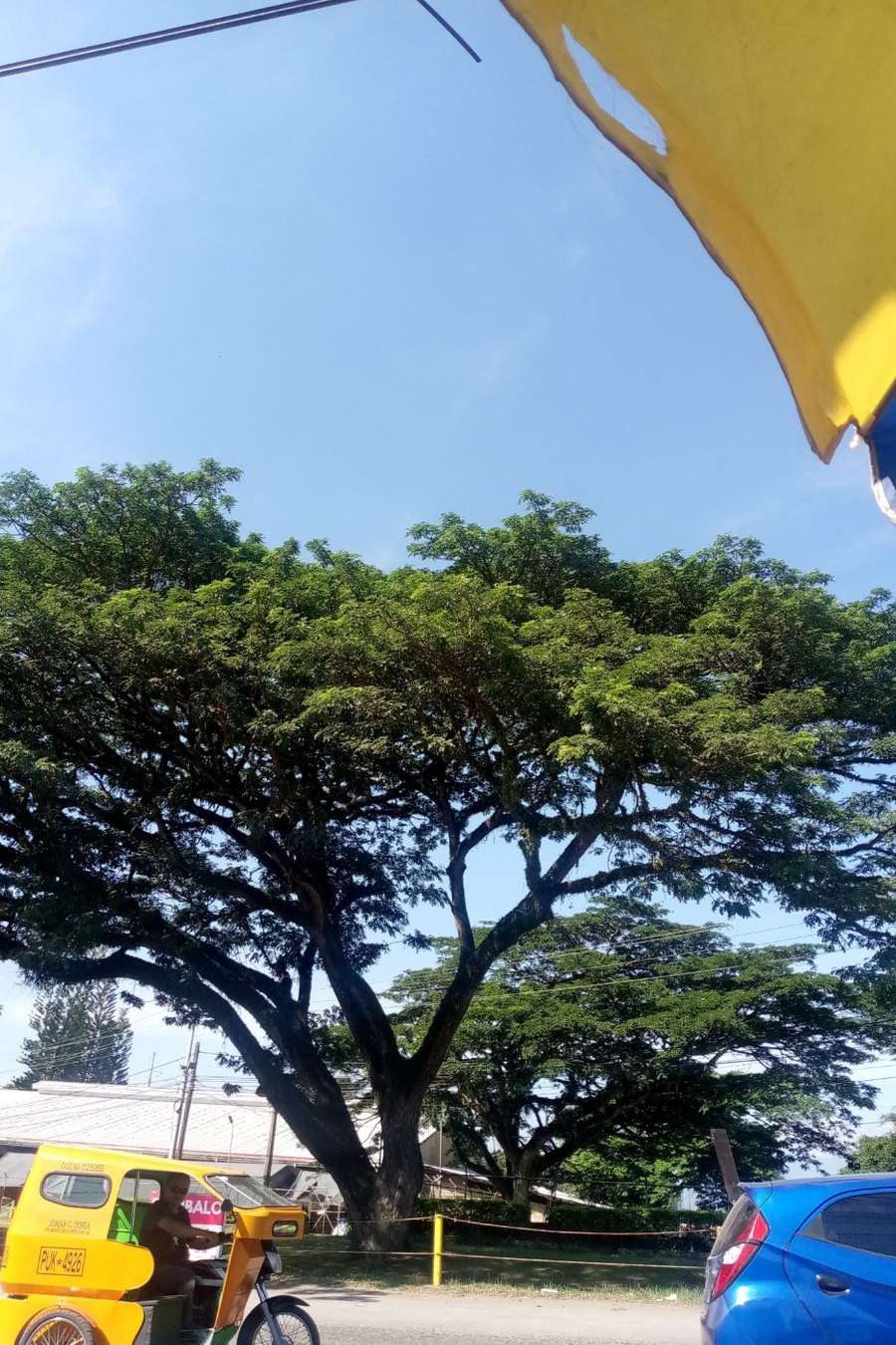 93182653 5804 medium large