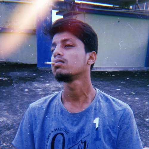 48201273 8780