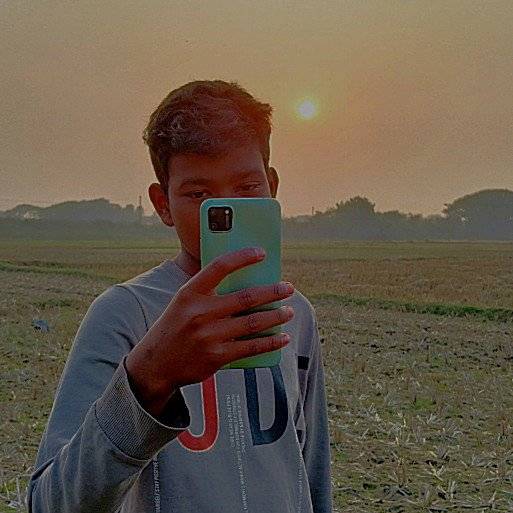 86310582 2062 medium large