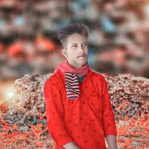 62443076 8719
