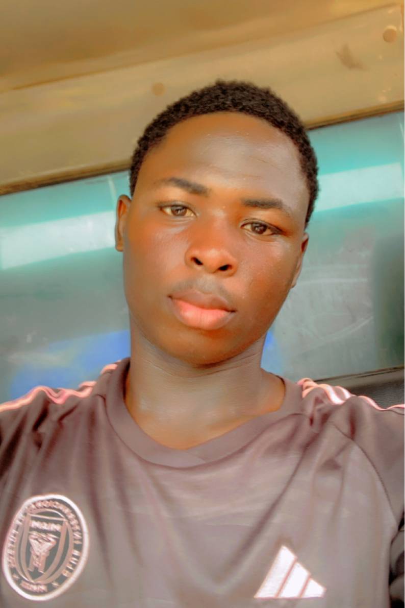 89412668 4242 medium large