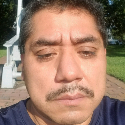54999571 8562