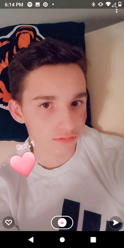 53134491 5599