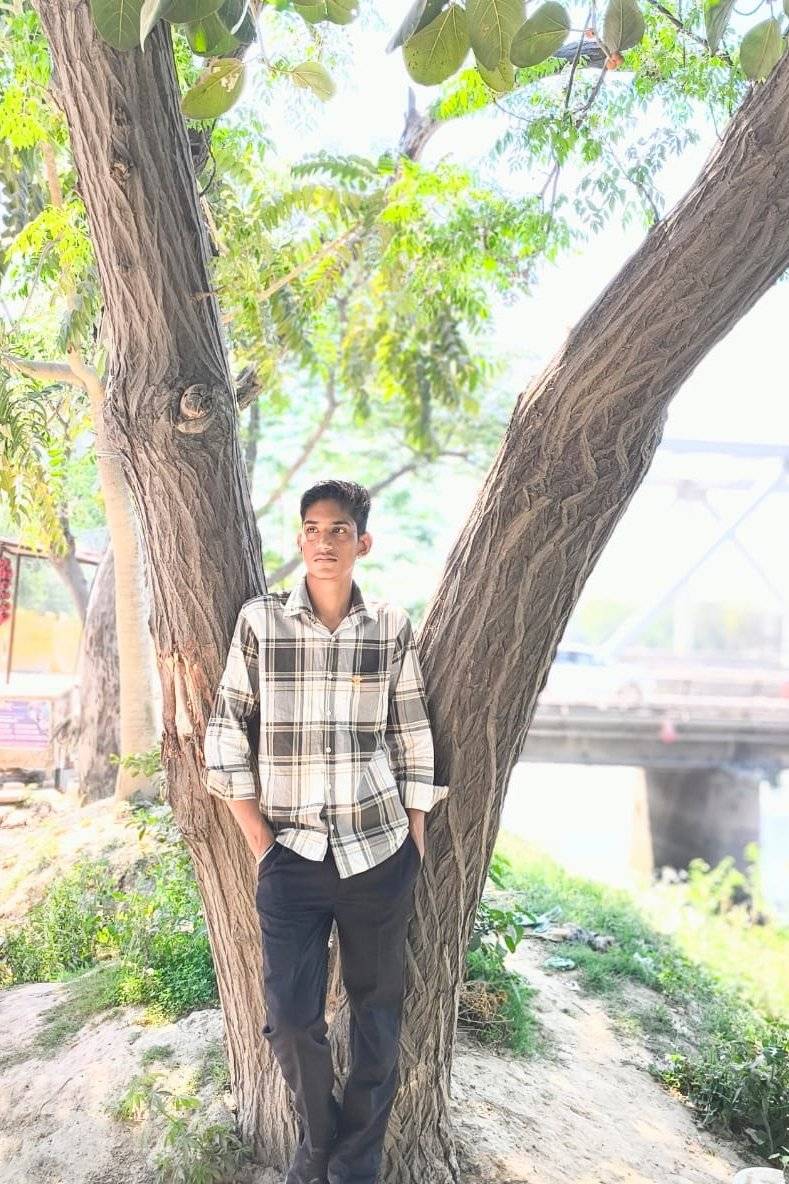 89295923 7053 medium large