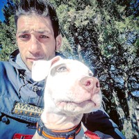 Giorgio Colaianni's photo