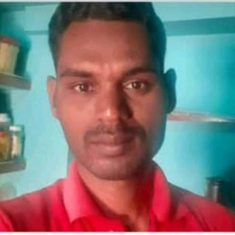 65442323 3881