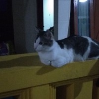 Yulendra Dimas's photo