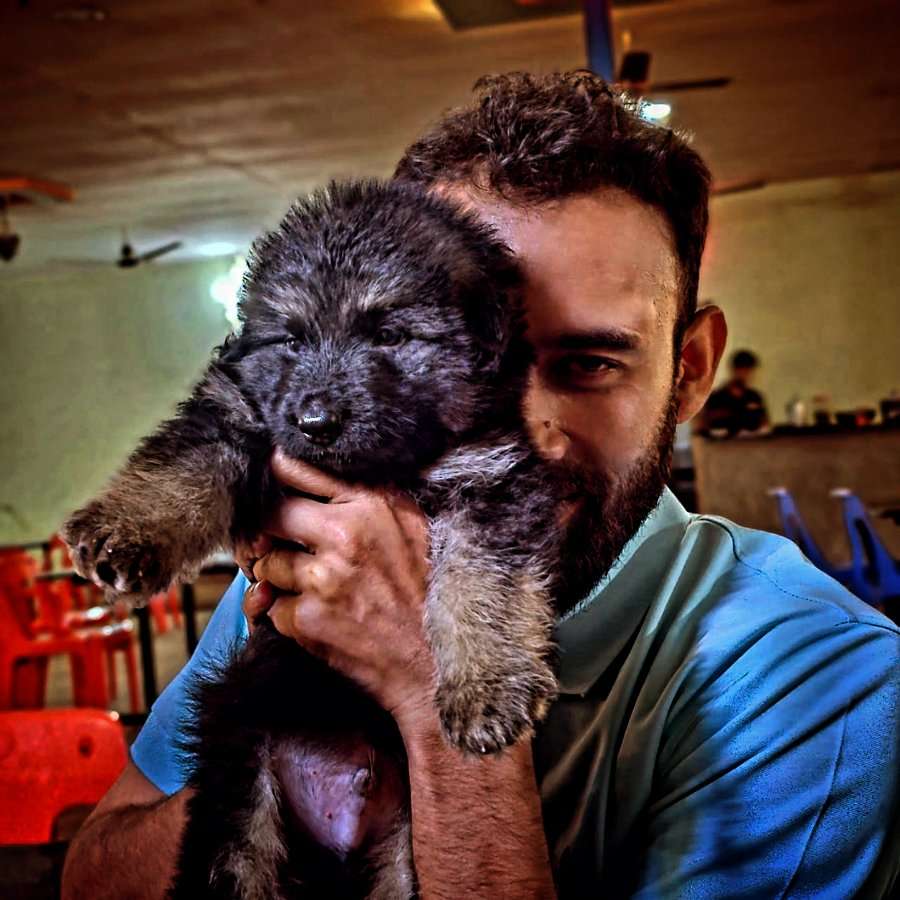 83609389 2053 medium large