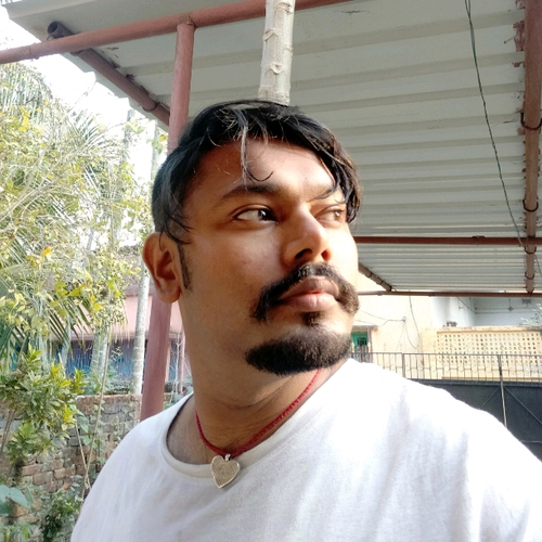 62313474 6573
