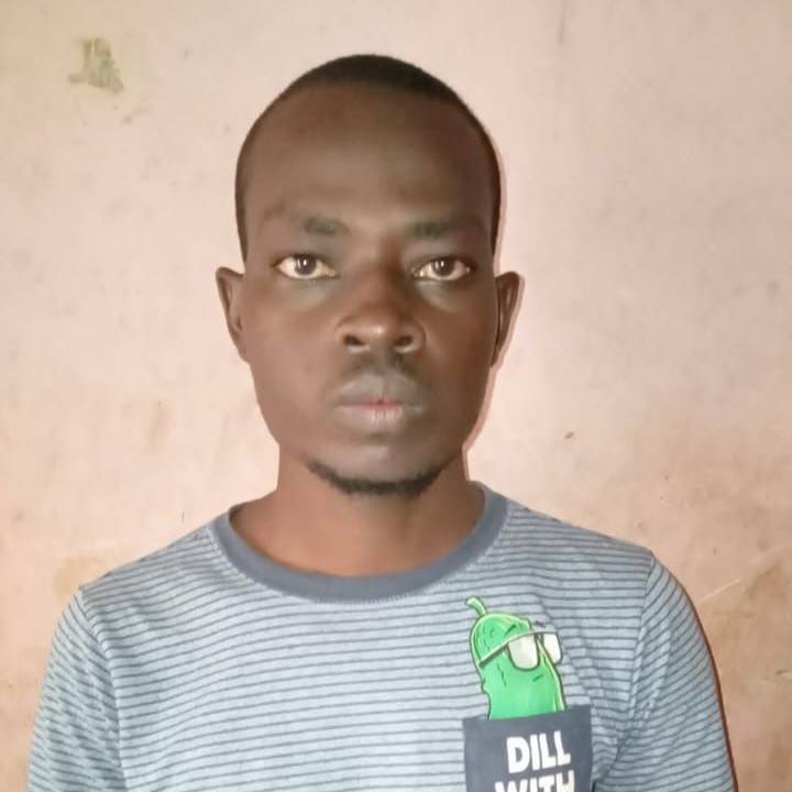 82147407 529 medium large