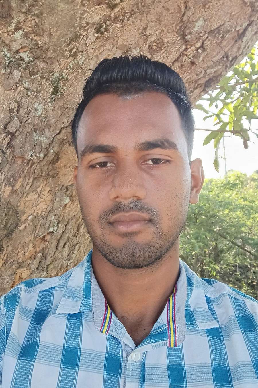 84364547 3781 medium large