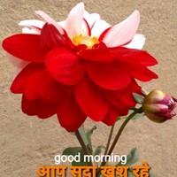 Brijeshsingh 's photo