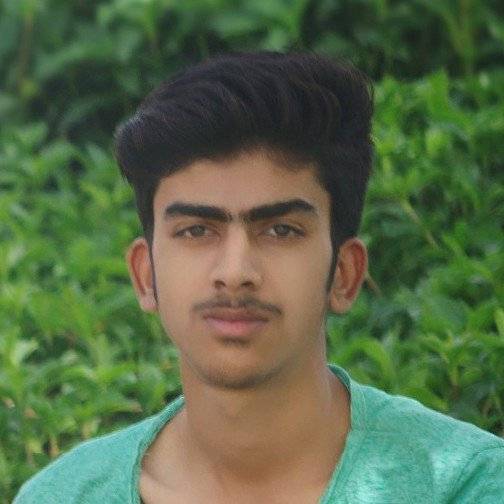 86478008 1919 medium large