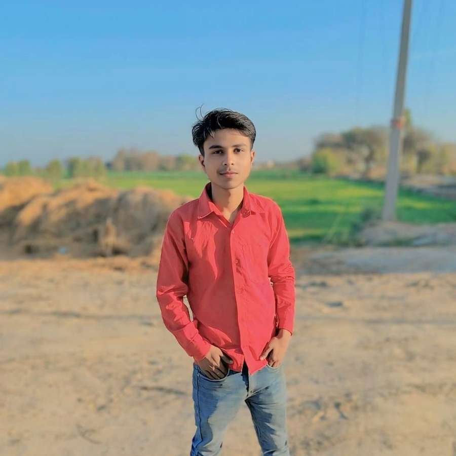 86054498 4799 medium large