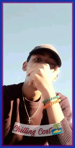 66215237 3727