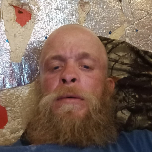 45594384 7163