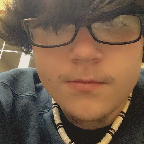 51336608 1869