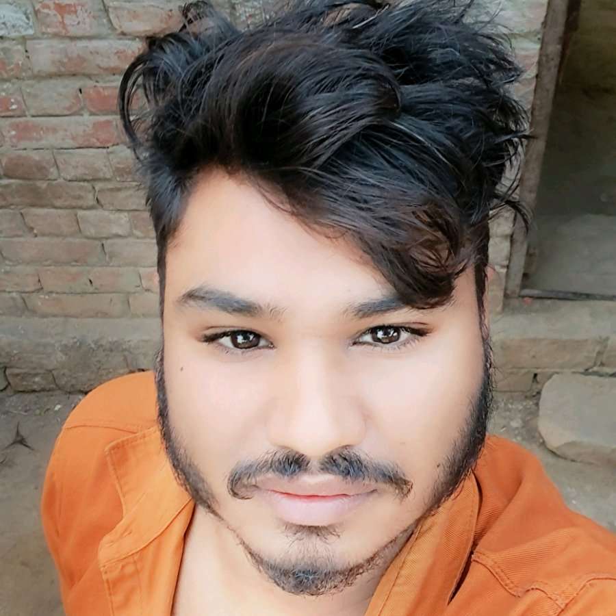 74241272 3523 medium large
