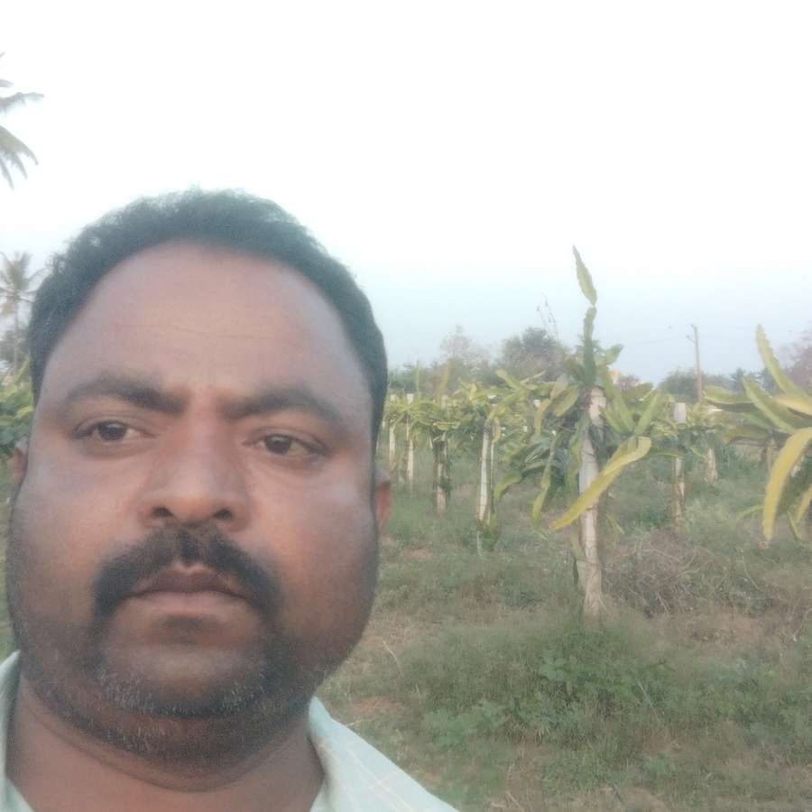 86542654 201 medium large