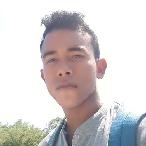 45136786 262