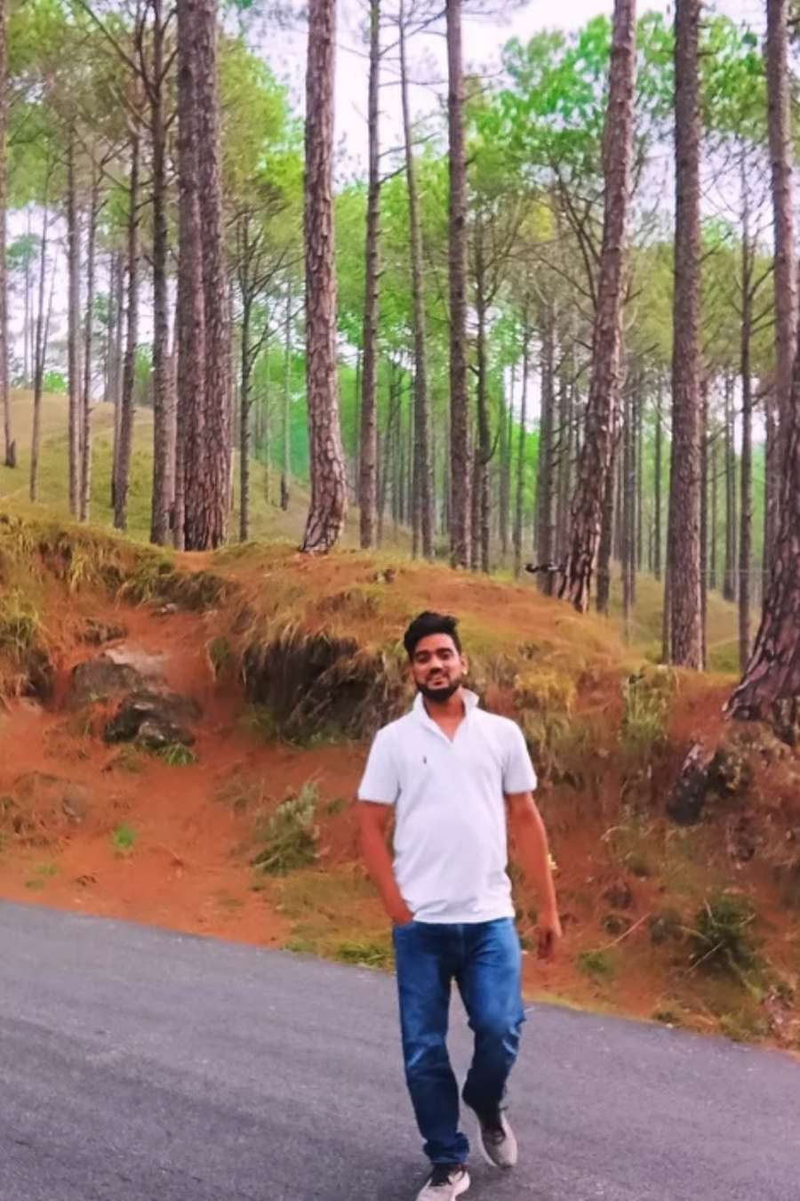 95651221 8317 medium large