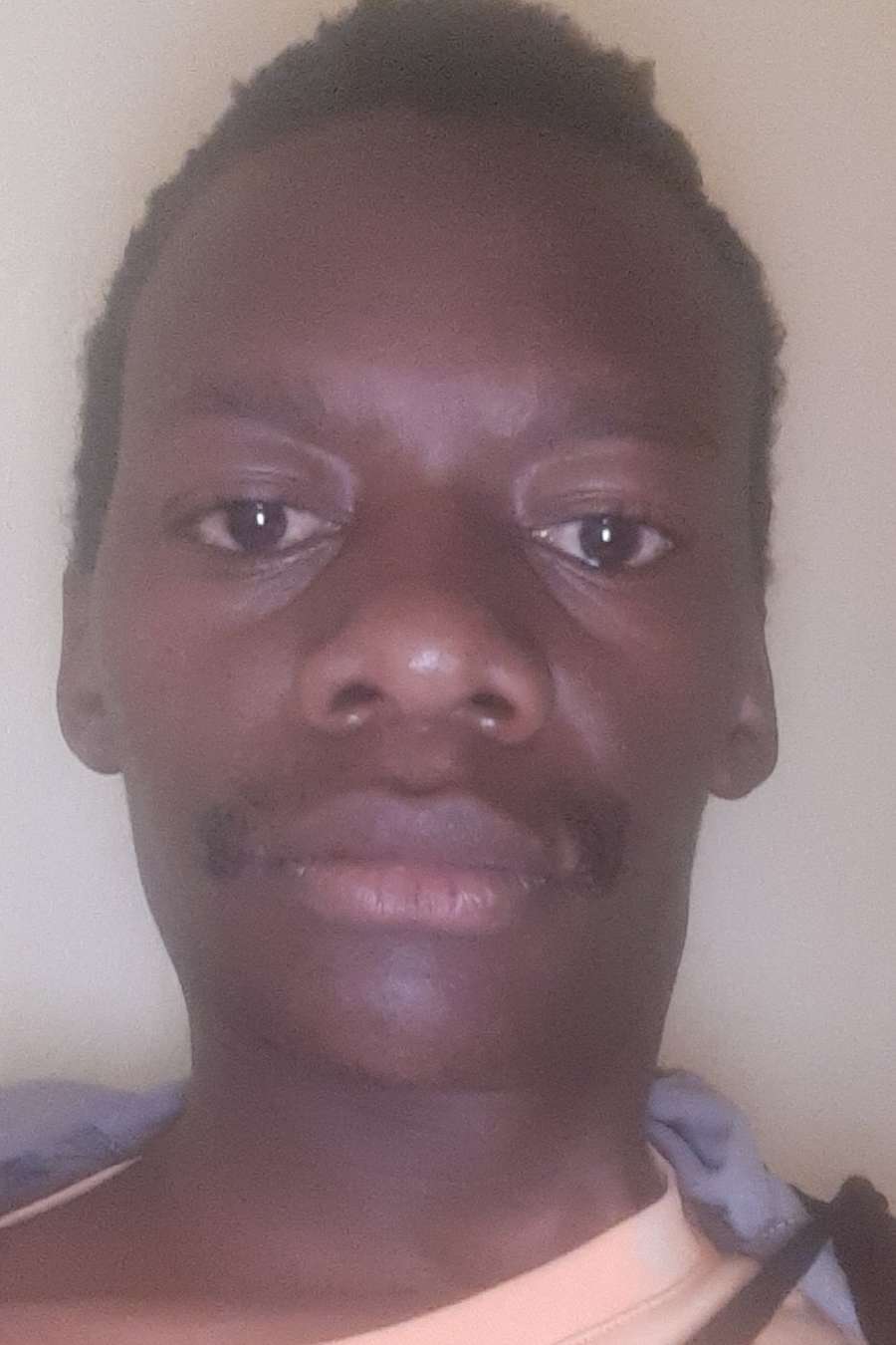 93042231 7466 medium large