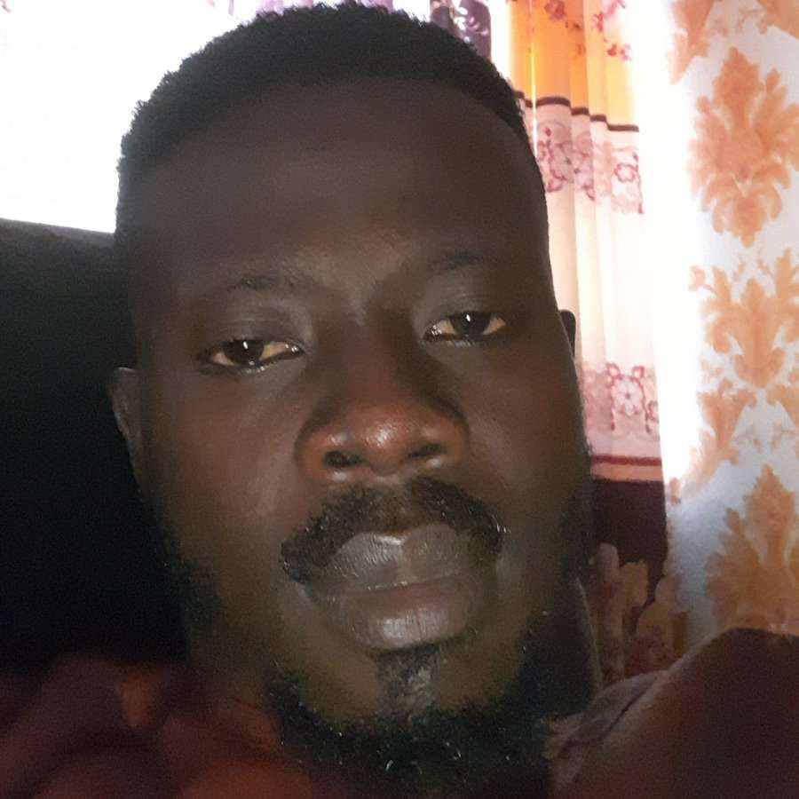 83386255 1993 medium large