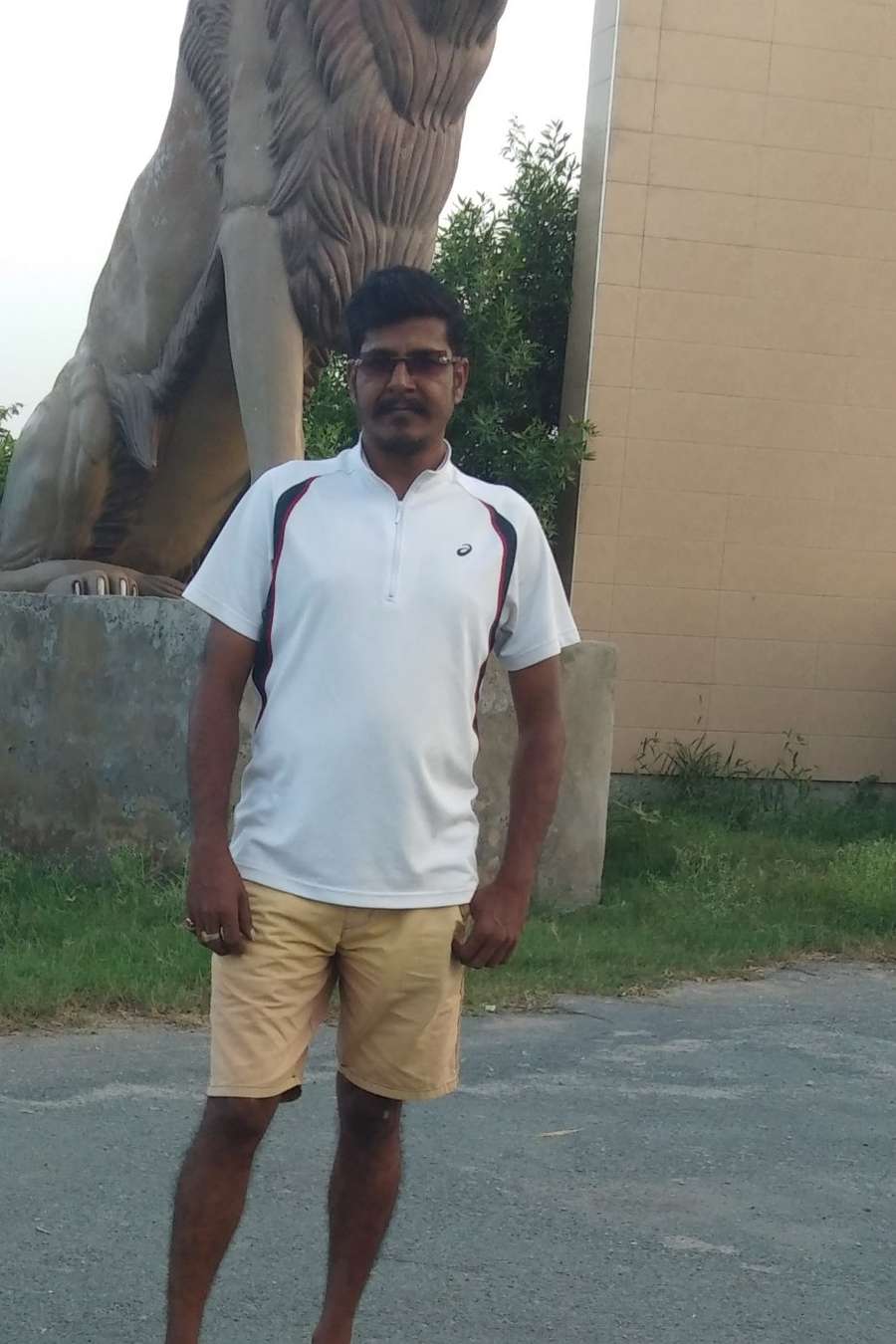 90191929 206 medium large