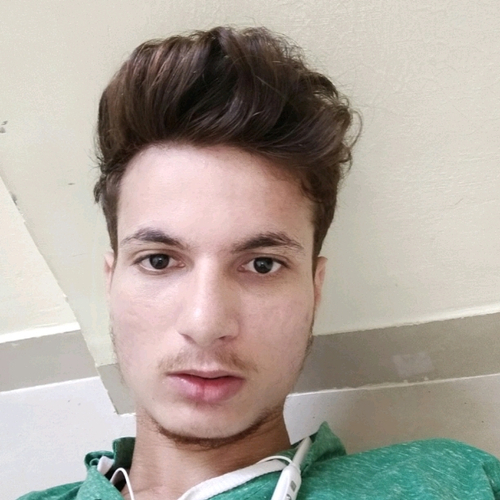 53381353 439