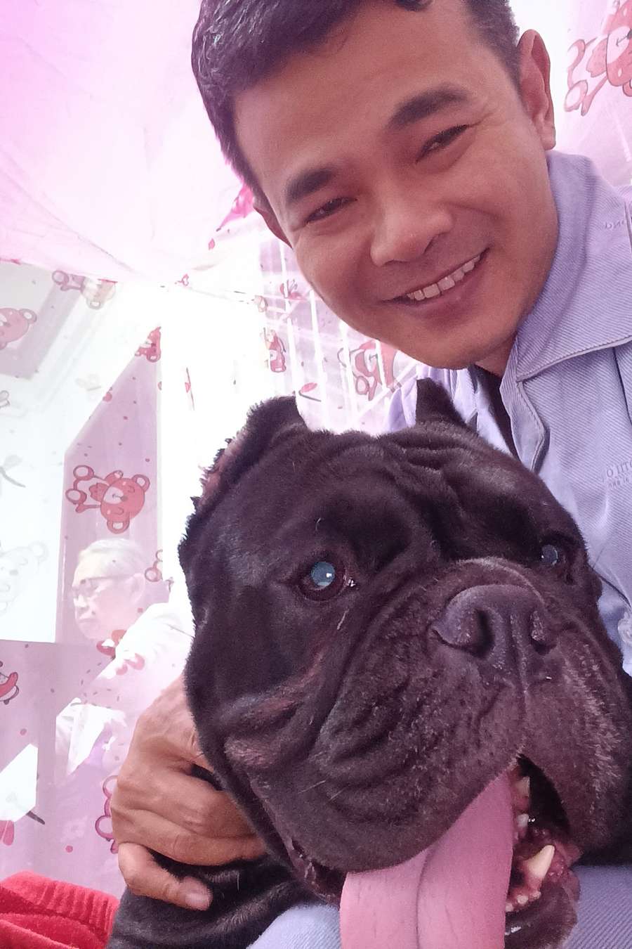 89718349 798 medium large