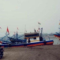 come 2 Daman 's photo