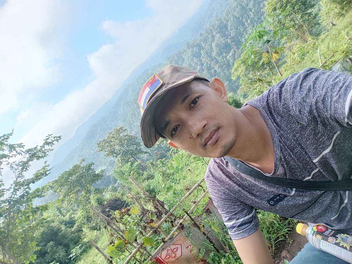 80847616 1442 medium large