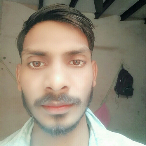 48930493 8063