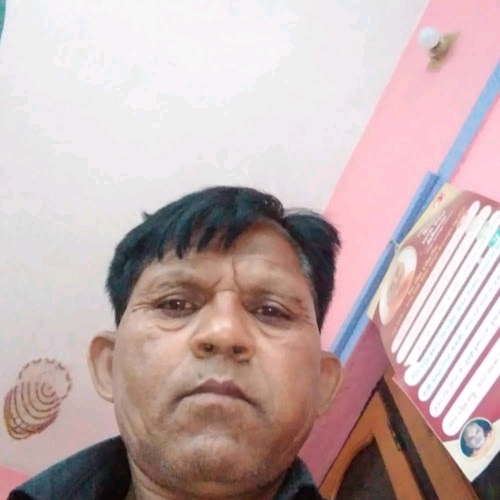 54431038 7379