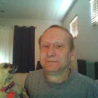 luvmychihuahua's photo