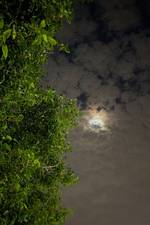 عمر عبدالله العتيبي 's photo