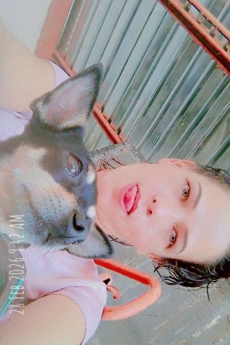 92375112 341 medium large