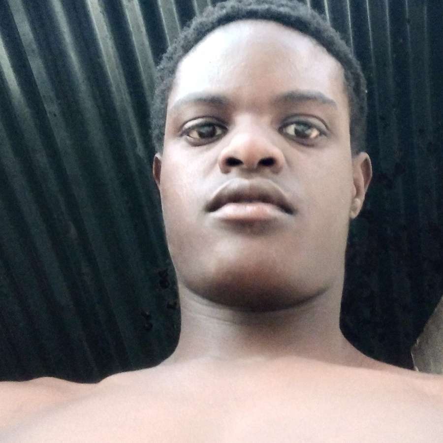 88229134 4178 medium large