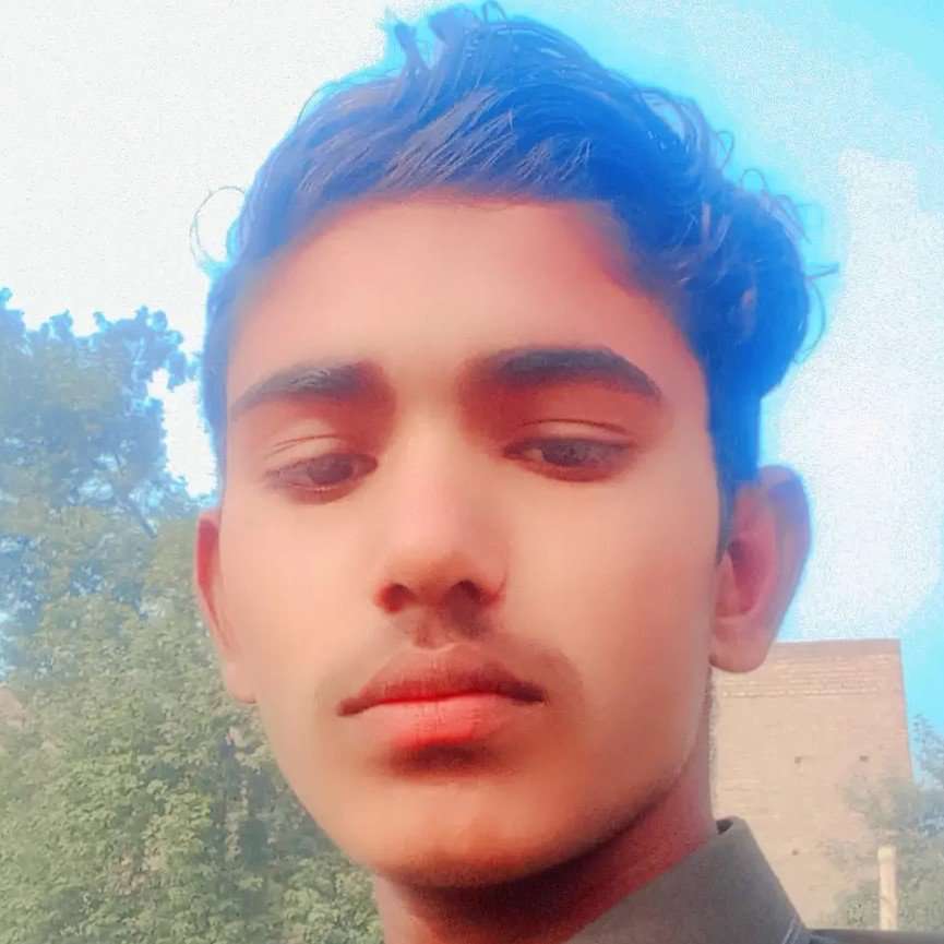 86346798 778 medium large