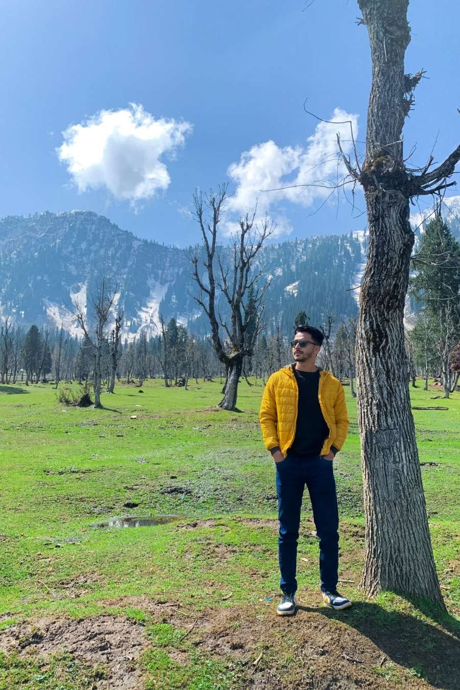 90146182 1398 medium large